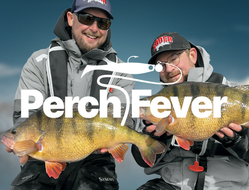Perch Fever - fiske på nästa nivå