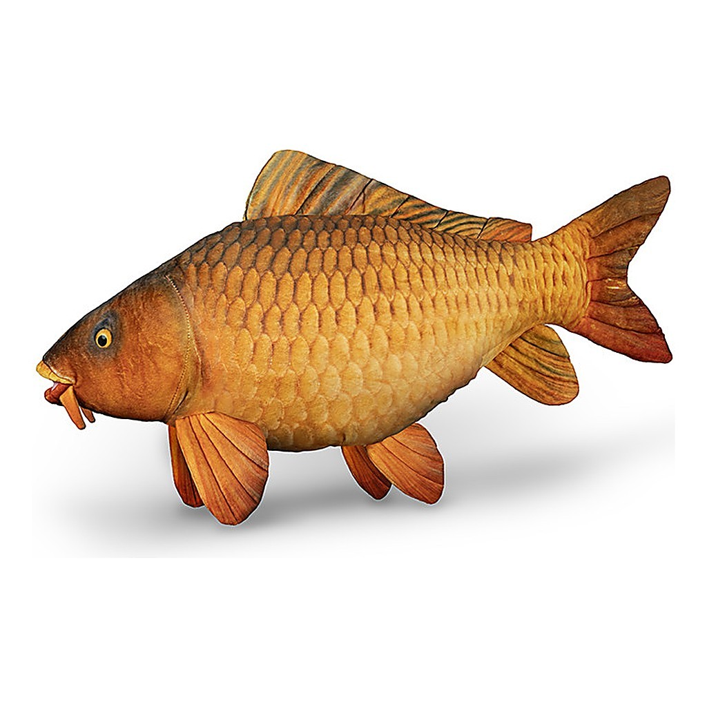 Delphin Plush Carp - 60 cm i gruppen Andet / Legetøjsfisk og trofæfisk hos Sportfiskeprylar.se (101006075)