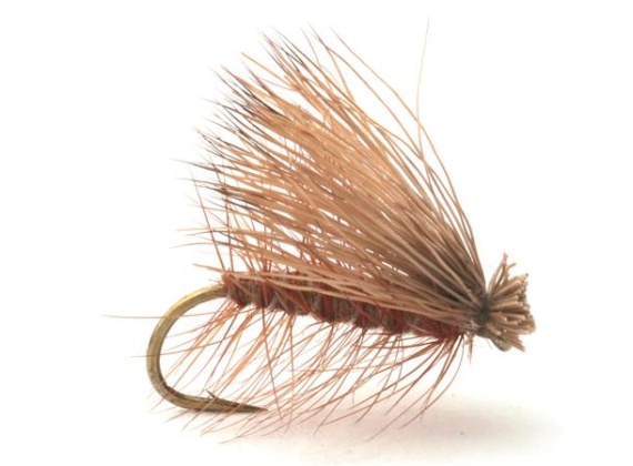 Guideline Elk Caddis Brown i gruppen Madding / Fluer / Tørfluer hos Sportfiskeprylar.se (101177GLr)