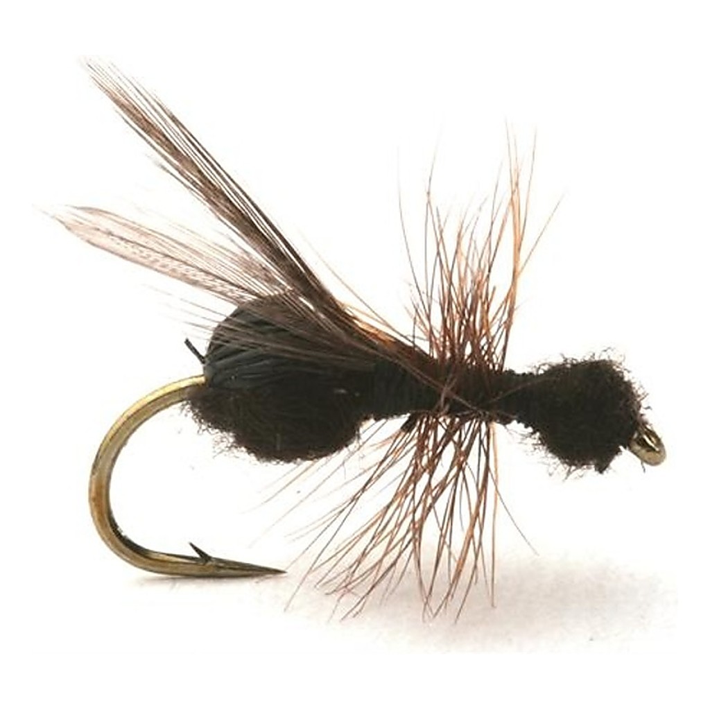 Guideline Flying Ant / Myra Black # 12 i gruppen Madding / Fluer / Tørfluer hos Sportfiskeprylar.se (101213GL)