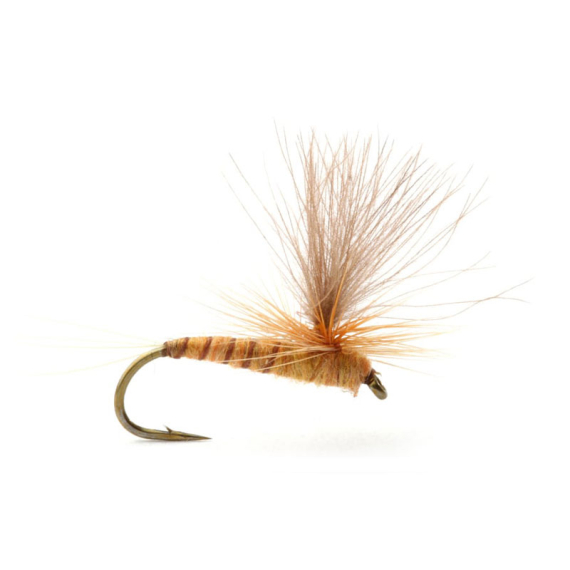 Guideline Aurivillii i gruppen Madding / Fluer / Tørfluer hos Sportfiskeprylar.se (101389GLr)