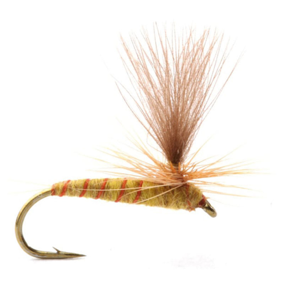 Guideline Ignita i gruppen Madding / Fluer / Tørfluer hos Sportfiskeprylar.se (101392GLr)