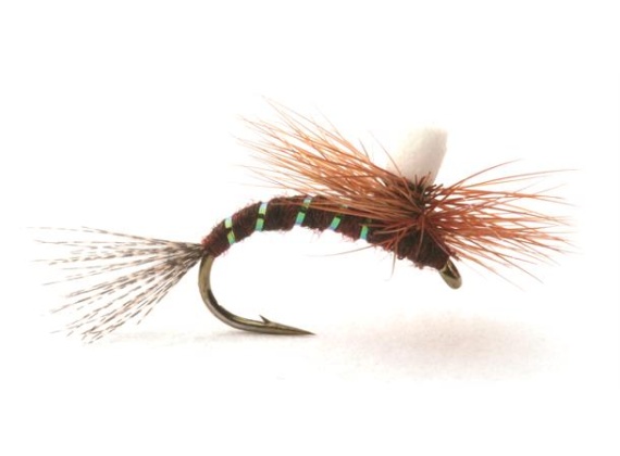 Guideline Ephemerella Klekker # 16 i gruppen Madding / Fluer / Tørfluer hos Sportfiskeprylar.se (101476GL)