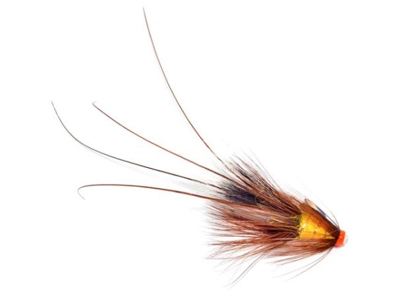 Pot Belly Pig - Creme Brulee 0,75 Copper Tube i gruppen Madding / Fluer / Laksefluer hos Sportfiskeprylar.se (104432GL)