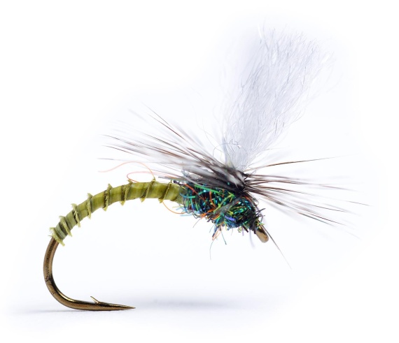 Klink Lt. Olive Biot #16 i gruppen Madding / Fluer / Tørfluer hos Sportfiskeprylar.se (104815GL)