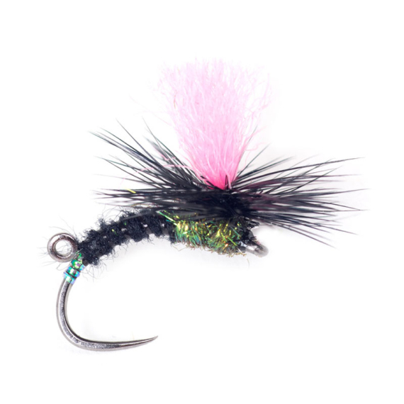 Guideline Indi Black Klink #12 i gruppen Fiskemetoder / Fluefiskeri / Fluer hos Sportfiskeprylar.se (107101GL)