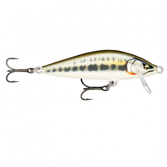 Rapala CountDown Elite 7,5cm, 10g - GDMN i gruppen Madding / Crankbaits / Crankbaits til lavt vand hos Sportfiskeprylar.se (124020NO)