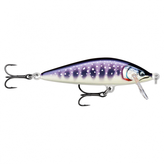 Rapala CountDown Elite 5,5cm GDIW i gruppen Madding / Crankbaits / Crankbaits til lavt vand hos Sportfiskeprylar.se (126555NO)