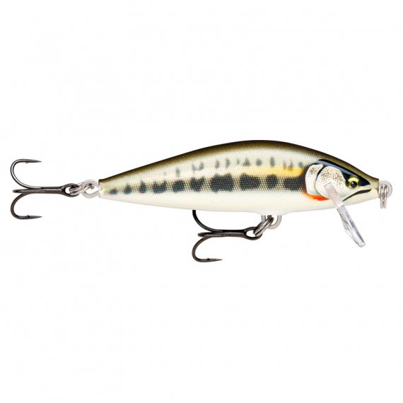 Rapala CountDown Elite 5,5cm - GDMN i gruppen Madding / Crankbaits / Crankbaits til lavt vand hos Sportfiskeprylar.se (126556NO)