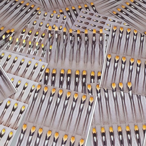 FutureFly Artificial Jungle Cock i gruppen Kroge og endegrej / Fluebinding / Fluebindingsmateriale / Øjer hos Sportfiskeprylar.se (1465-001r)