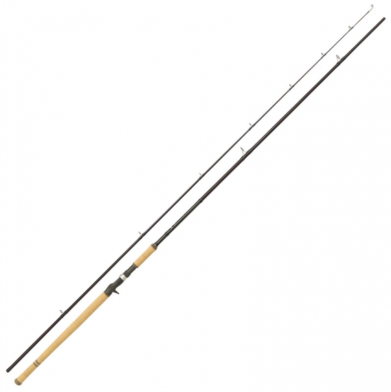 Abu Garcia Salmon Seeker 12\' 50-150g Casting i gruppen Stænger / Kastestænger hos Sportfiskeprylar.se (1528632)