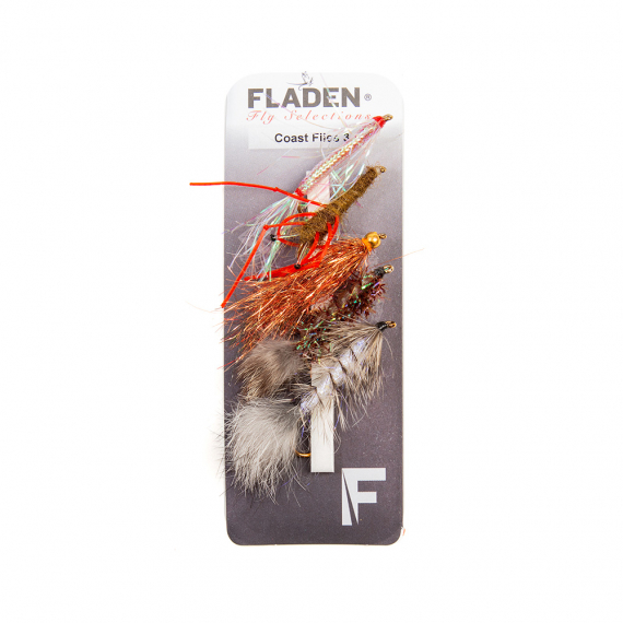 Fladen Maxximus Flies 5-pack Coast 3 i gruppen Madding / Fluer / Fluesæt hos Sportfiskeprylar.se (34-2004)