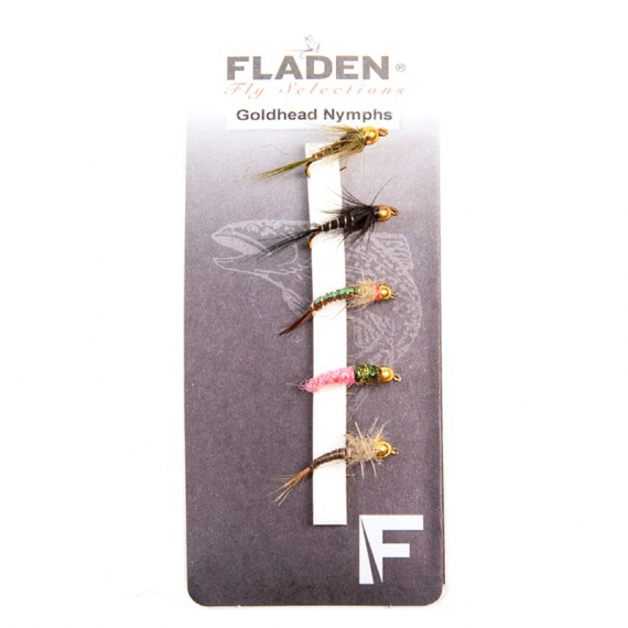 Fladen Maxximus Flies Goldhead Nymphs 5-pack i gruppen Madding / Fluer / Nymfer hos Sportfiskeprylar.se (34-2011)