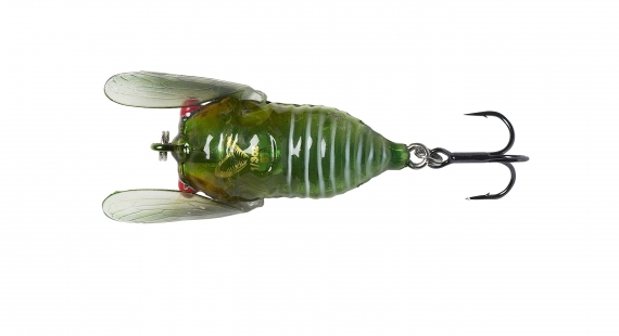 Savage Gear 3D Cicada 33mm 3,5g Floating, Green i gruppen Madding / Overfladebaits hos Sportfiskeprylar.se (61989)