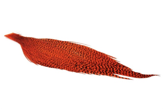 Whiting High & Dry Hackle 1/2 Cape - GD/Orange i gruppen Kroge og endegrej / Fluebinding / Fluebindingsmateriale / Fjer og nakker / Nakker og sadler hos Sportfiskeprylar.se (71841151)