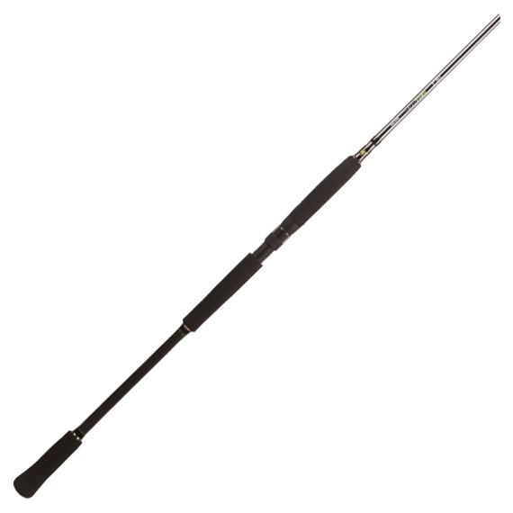 BFT Raptor G2 Pike Spin 8\' -100g, 2pcs Spinning i gruppen Stænger / Spinnestænger hos Sportfiskeprylar.se (75-BFT-R2SP80-2)