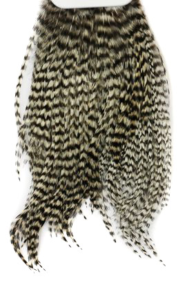 Whiting Bugger Pack i gruppen Kroge og endegrej / Fluebinding / Fluebindingsmateriale / Fjer og nakker / Nakker og sadler hos Sportfiskeprylar.se (91871734r)