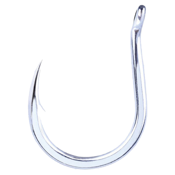BKK DEEP Saltwater Hook i gruppen Kroge og endegrej / Kroge / Enkeltkroge hos Sportfiskeprylar.se (A-EJ-8913r)