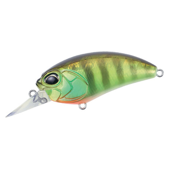 DUO Realis Crank M62 5A - Chart Gill Halo i gruppen Madding / Crankbaits / Crankbaits til lavt vand hos Sportfiskeprylar.se (CM625AAJA3055)