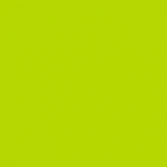 Color Markers, Lime Green i gruppen Udstyr og tilbehør / Andre redskaber / Filtpenne hos Sportfiskeprylar.se (FD-CM27)