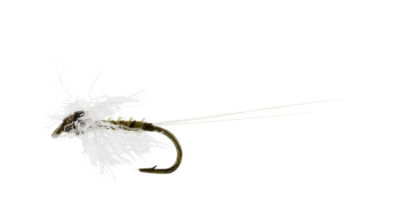 Baetis Spinner Biot Olive TMC100 i gruppen Madding / Fluer / Tørfluer hos Sportfiskeprylar.se (FL32110r)