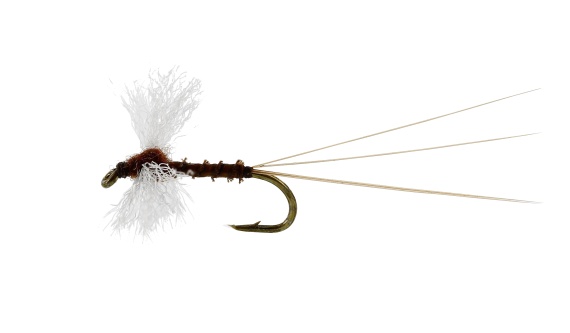 Vespertina Spinner Biot Brown TMC100 i gruppen Fiskemetoder / Fluefiskeri / Fluer / Tørfluer hos Sportfiskeprylar.se (FL32125r)