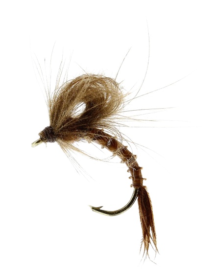 Marginata Emerger Biot Brown TMC212TR #13 i gruppen Madding / Fluer / Tørfluer hos Sportfiskeprylar.se (FL32135)