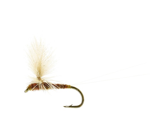 Ignita Dun Ginger TMC100 #16 i gruppen Madding / Fluer / Tørfluer hos Sportfiskeprylar.se (FL32155)