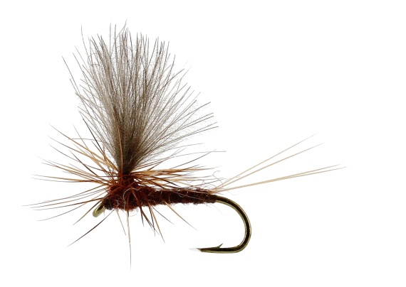 Vespertina Dun Brown TMC100 i gruppen Fiskemetoder / Fluefiskeri / Fluer / Tørfluer hos Sportfiskeprylar.se (FL32170r)
