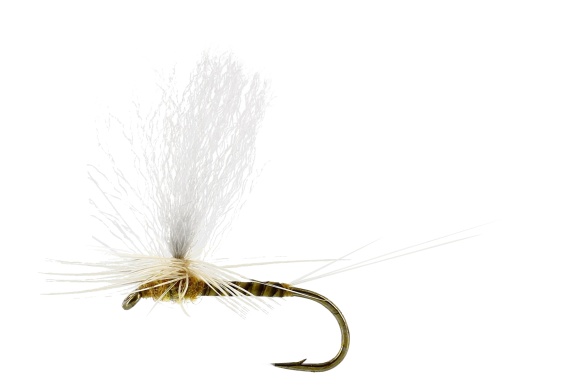 Sulphurea Dun Quill Yellow TMC100 i gruppen Fiskemetoder / Fluefiskeri / Fluer / Tørfluer hos Sportfiskeprylar.se (FL32200r)
