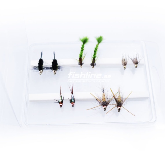 FLy Assorment Nymphs 10pcs i gruppen Madding / Fluer / Tubefluer hos Sportfiskeprylar.se (FL99105)