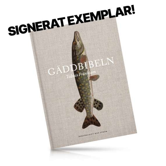 Gäddbibeln Signerad av Tobias Fränstam i gruppen Andet / DVD’er og bøger / Bøger om fiskeri hos Sportfiskeprylar.se (GADDBIBELN-SIGN)