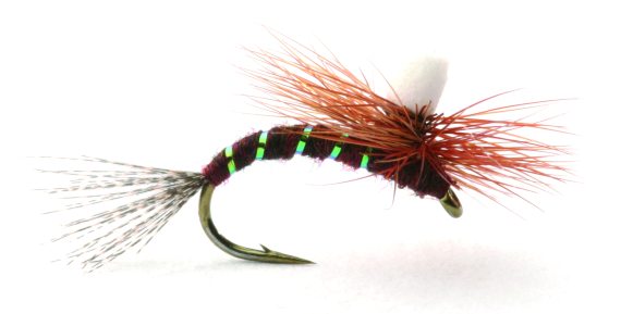 Ephemerella Klekker i gruppen Madding / Fluer / Tørfluer hos Sportfiskeprylar.se (GL46169r)