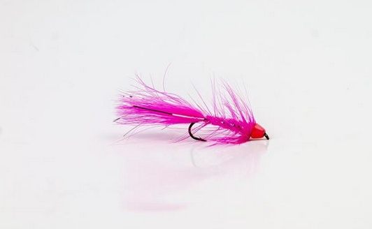 Wolly Bugger Cone Pink size 8 i gruppen Madding / Fluer / Streamere hos Sportfiskeprylar.se (HF1227-8)
