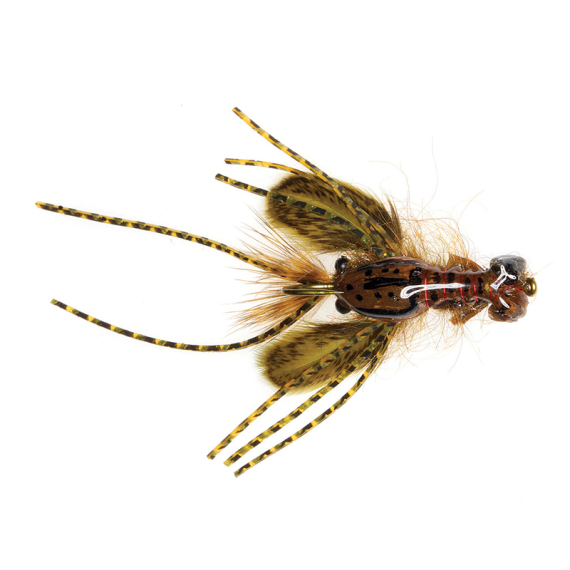 Umpqua Creek Crawler Olive #4 Hada\'s i gruppen Madding / Fluer / Streamere hos Sportfiskeprylar.se (NFD9656-OL4)