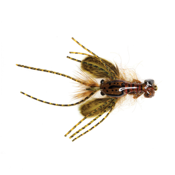 Umpqua Creek Crawler Tan #4 Hada\'s i gruppen Madding / Fluer / Streamere hos Sportfiskeprylar.se (NFD9656-T4)