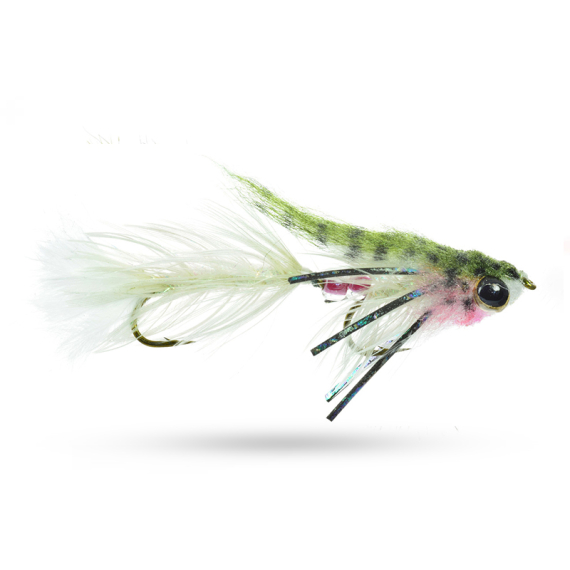 Umpqua Baby Gonga Rainbow #8 i gruppen Madding / Fluer / Streamere hos Sportfiskeprylar.se (NFD9664-RB8)