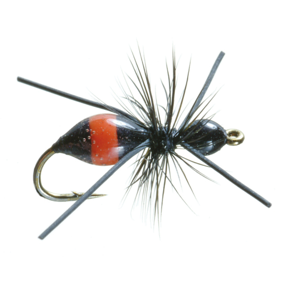 Umpqua Attract-Ant Black/Red - #16 i gruppen Madding / Fluer / Tørfluer hos Sportfiskeprylar.se (NFD9861-16)