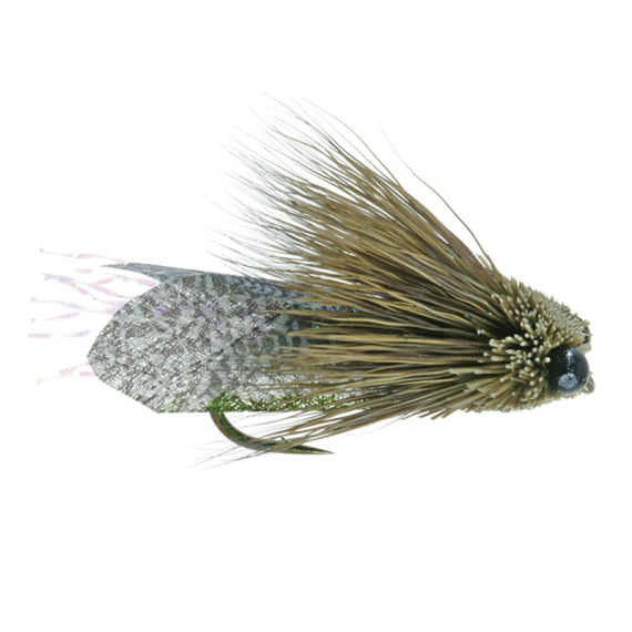 Umpqua Clark\'s Cicada Olive - #10 i gruppen Madding / Fluer / Tørfluer hos Sportfiskeprylar.se (NFD9865-10)