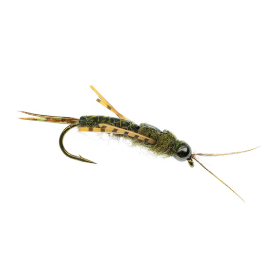 Umpqua Skwala Stone Tungsten Olive i gruppen Madding / Fluer / Vådfluer hos Sportfiskeprylar.se (NFD9886-8r)