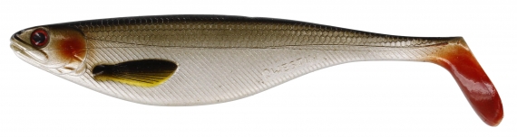 Westin ShadTeez 16cm 39g Lively Roach (bulk) i gruppen Madding / Softbaits / Gedde softbaits hos Sportfiskeprylar.se (P021-136-026)