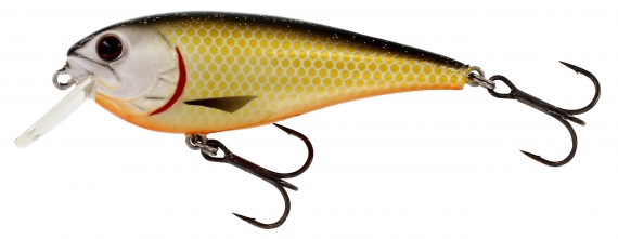 Westin RawBite 7 cm 12 g Floating Official Roach i gruppen Madding / Crankbaits / Crankbaits til lavt vand hos Sportfiskeprylar.se (P048-155-005)