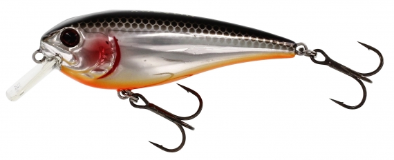Westin RawBite 7 cm 12 g Floating Steel Sardine i gruppen Madding / Crankbaits / Crankbaits til lavt vand hos Sportfiskeprylar.se (P048-221-005)