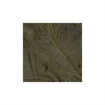 CDC Feathers 1 gr - Bistre i gruppen Fiskemetoder hos Sportfiskeprylar.se (PE-1GR16)