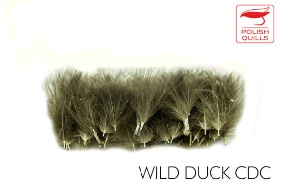 Polish Quill Wild Duck CDC i gruppen Kroge og endegrej / Fluebinding / Fluebindingsmateriale / Fjer og nakker / Andre typer fjer hos Sportfiskeprylar.se (PQ-WDCDC)