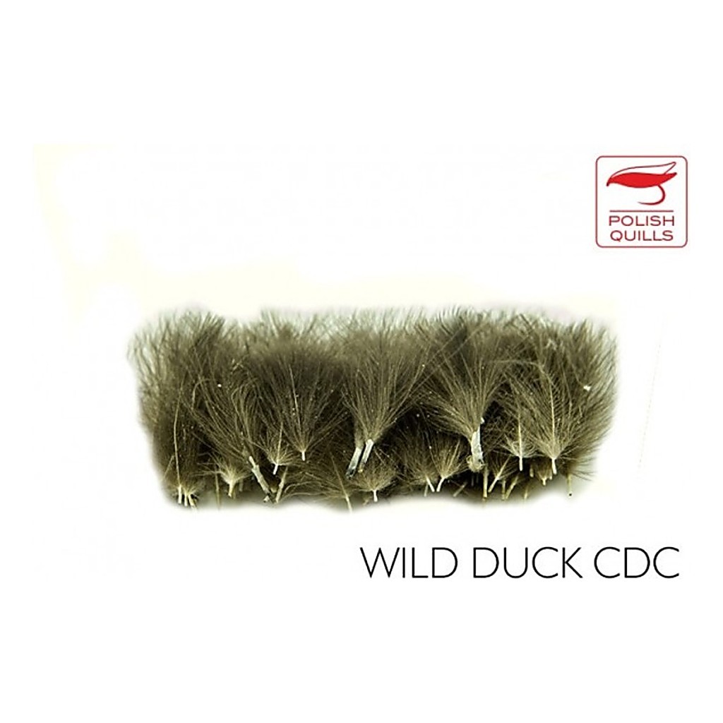 Polish Quill Wild Duck CDC i gruppen Kroge og endegrej / Fluebinding / Fluebindingsmateriale / Fjer og nakker / Andre typer fjer hos Sportfiskeprylar.se (PQ-WDCDC)
