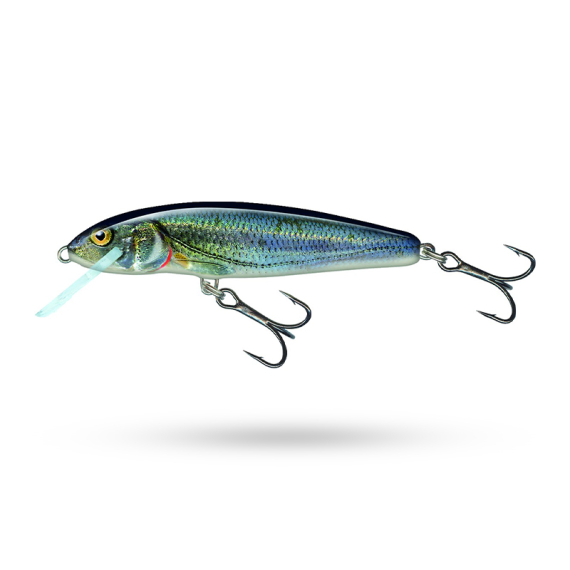 Salmo Minnow Floating i gruppen Madding / Crankbaits / Crankbaits til lavt vand hos Sportfiskeprylar.se (QMW002r)