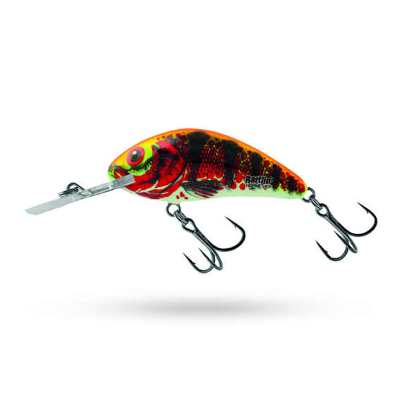 Salmo Rattlin\' Hornet 5.5cm - Holo Red Perch i gruppen Madding / Crankbaits / Crankbaits til dybvandsdykning hos Sportfiskeprylar.se (QRH517)