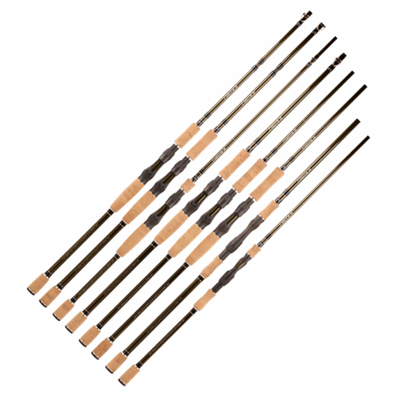 BFT Roots G2 i gruppen Stænger / Kastestænger hos Sportfiskeprylar.se (ROOTSG2r)