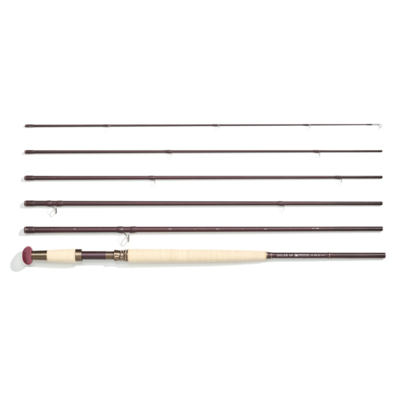 Frödin Salar S4 DH Fly Rod i gruppen Stænger / Fiskestang til fluefiskeri / Tohånds fluestænger hos Sportfiskeprylar.se (SS4-11r)